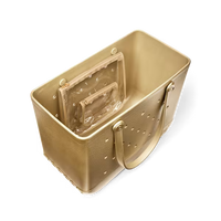 Original Metalic Bogg Goldie Bag