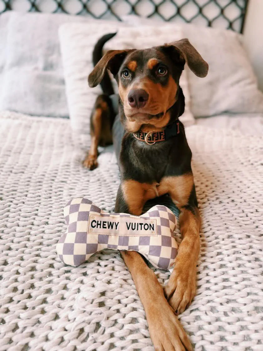 Huate Diggity Dog Chewy Bone Toy