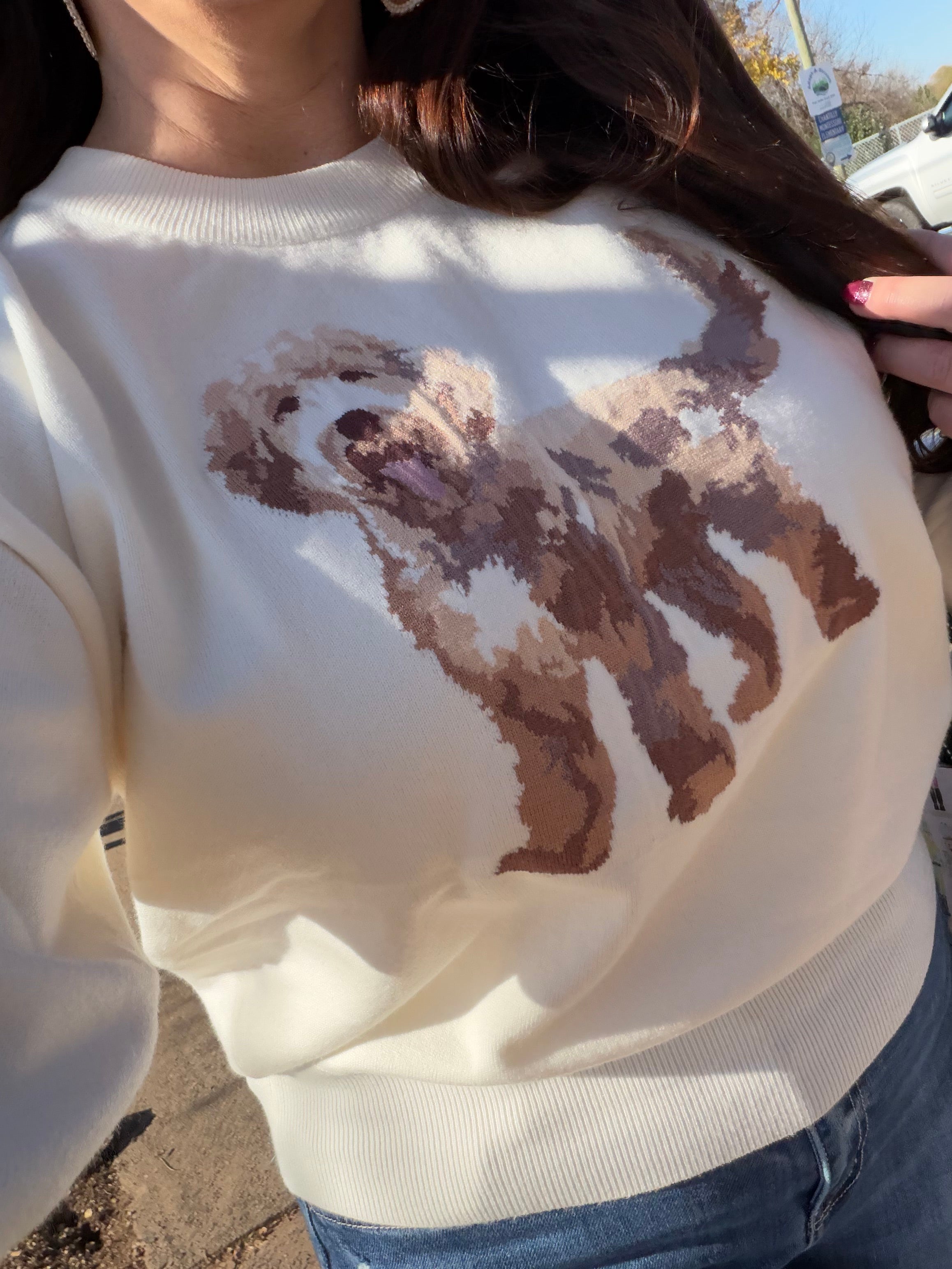 Doggie Doodle Sweater Top *FINAL SALE*