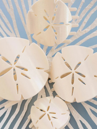Sand Dollar Flat Hair Clip Collection by Teleties