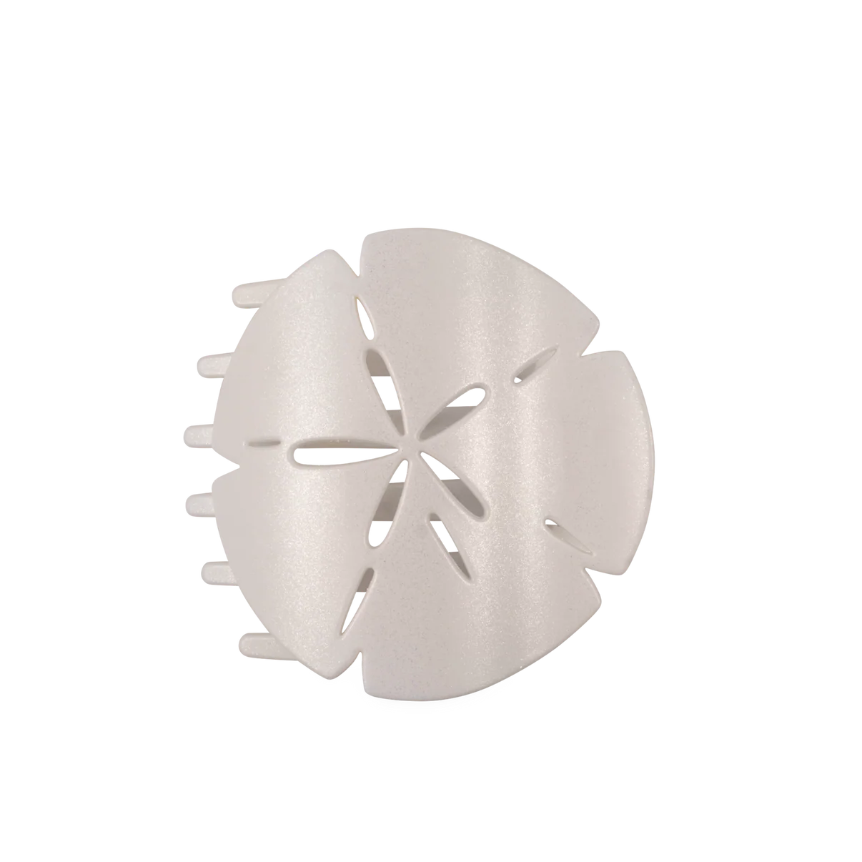 Sand Dollar Flat Hair Clip Collection by Teleties