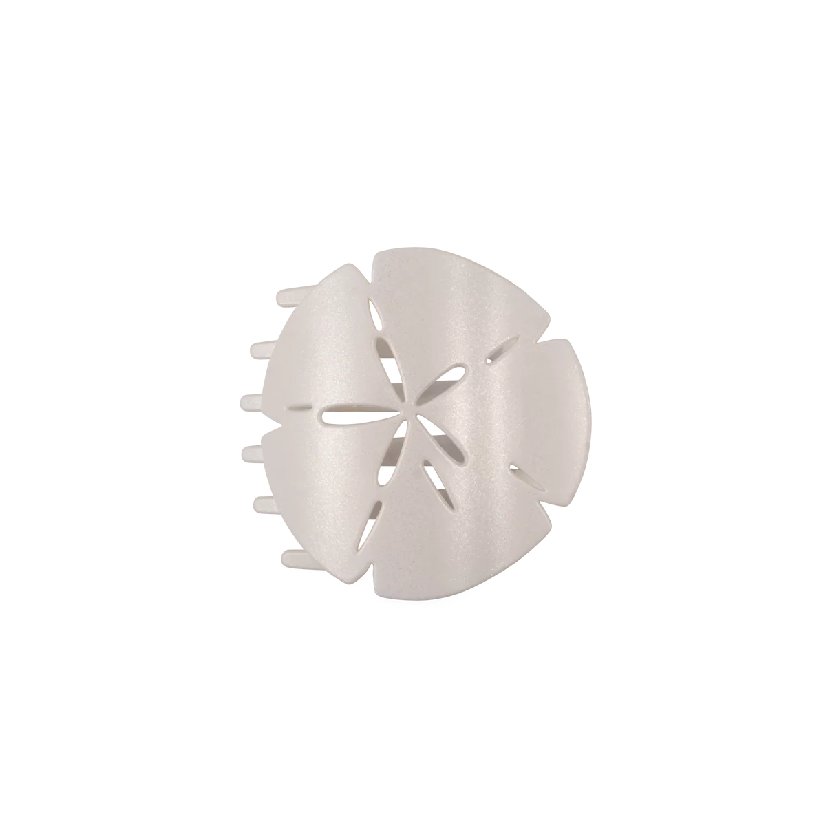 Sand Dollar Flat Hair Clip Collection by Teleties