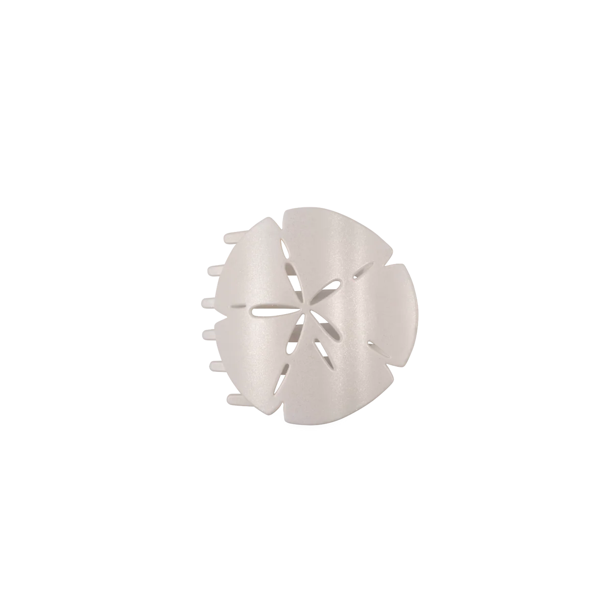 Sand Dollar Flat Hair Clip Collection by Teleties