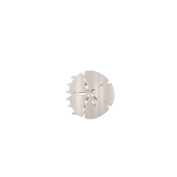 Sand Dollar Flat Hair Clip Collection by Teleties