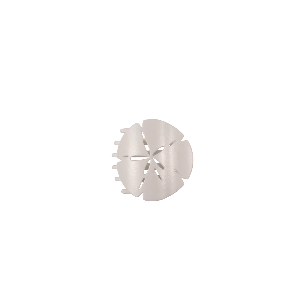 Sand Dollar Flat Hair Clip Collection by Teleties