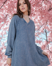 Dazzle In Denim Dress