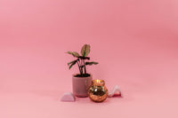 Sweet Grace Collection Candle #008