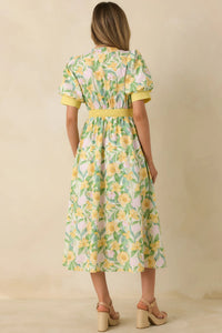 Spring Fling Dress by Entro