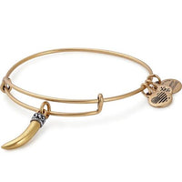 Alex & Ani Horn Bracelet