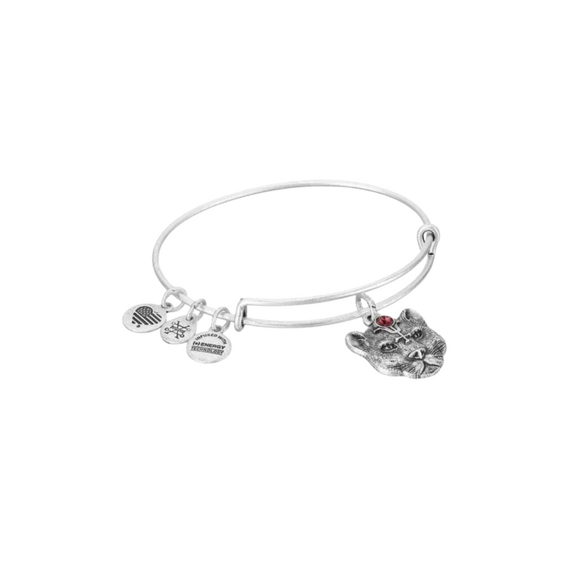 Wild Heart Alex & Ani Bracelet *Final Sale