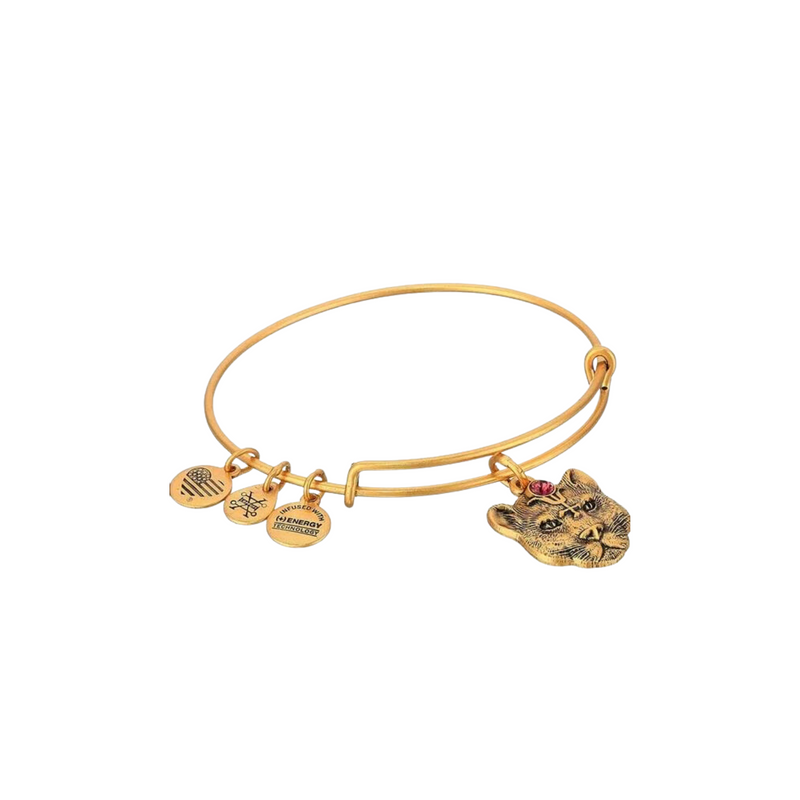 Wild Heart Alex & Ani Bracelet *Final Sale