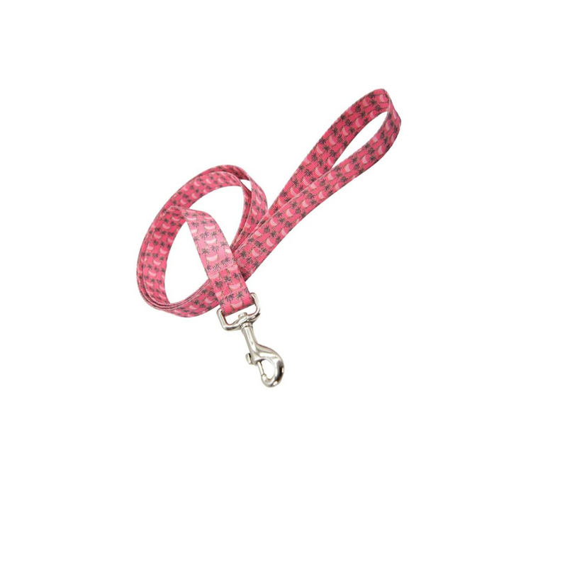 Simply Southern Dog Leash *Final Sale*