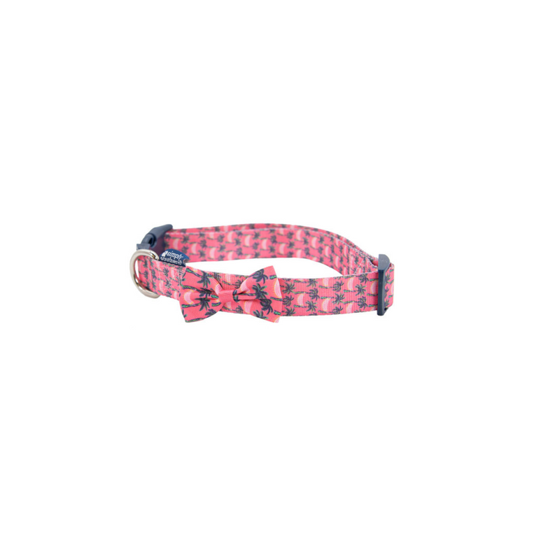 Simply Southern Dog Collars*Final Sale*